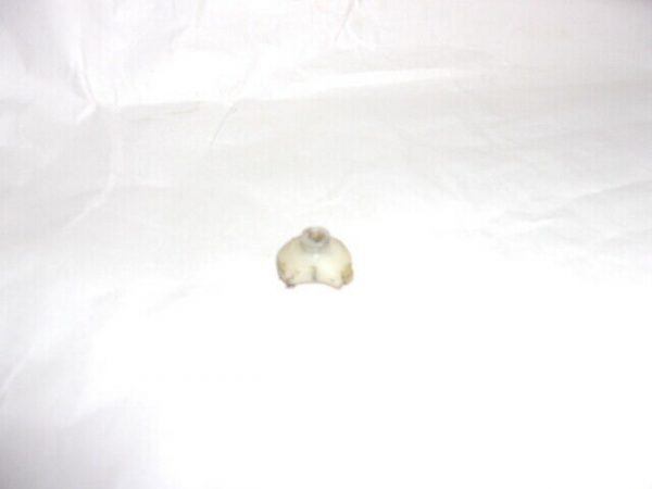 Winchester Super X Model 1 12g - Bolt Slide Buffer, White Polymer Used - Image 4