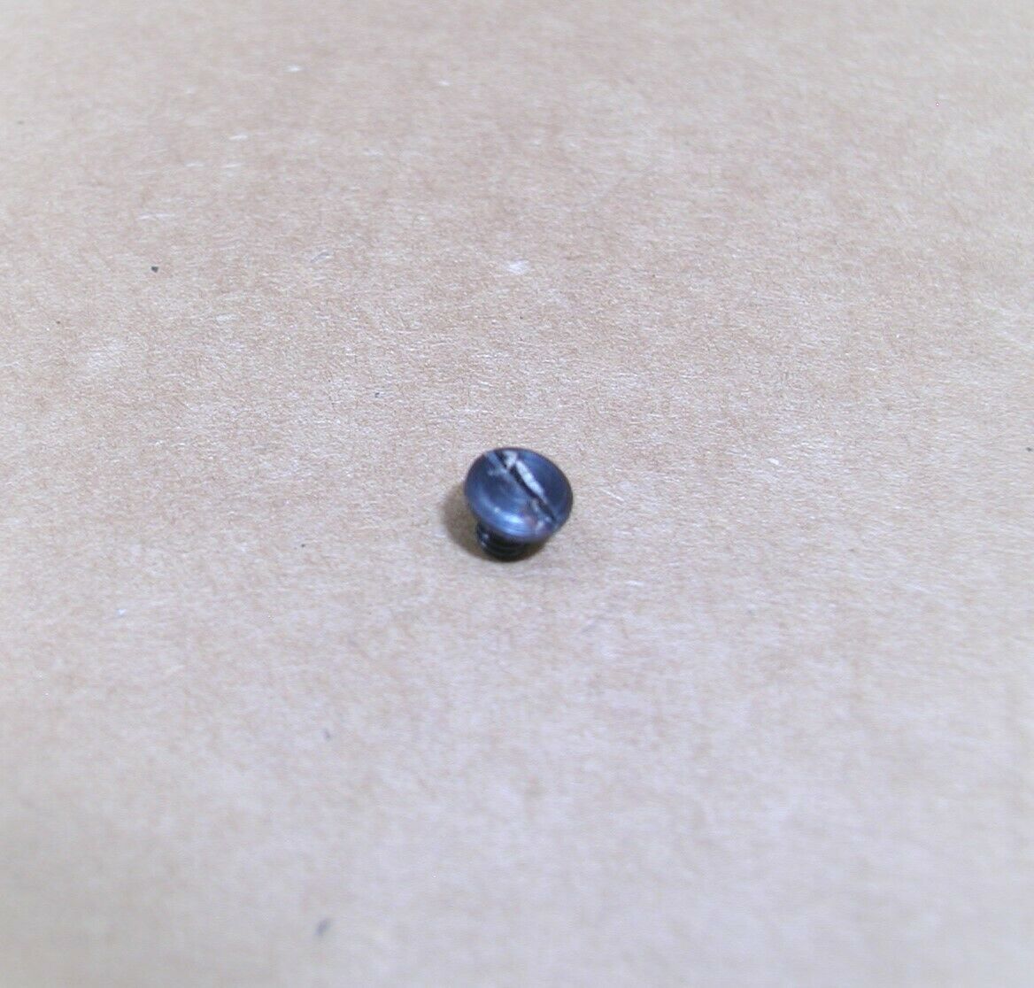 FIE Titan .25 cal - Sear Spring Screw Used