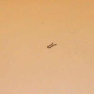 Harrington & Richardson 765 Pioneer - Sear & Trigger Pin Lock Used