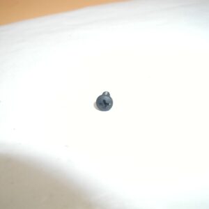 Savage 93R17 .17HMR - Trigger Guard & Magazine Plate Screw