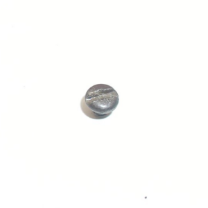 Cal West Model 25, .25 Auto - Grip Screw