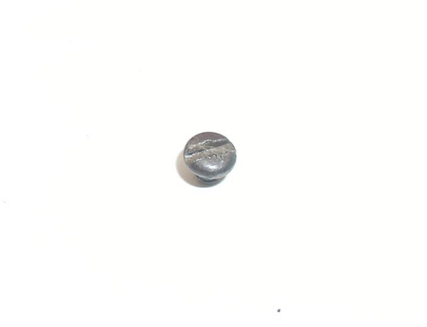Cal West Model 25, .25 Auto - Grip Screw