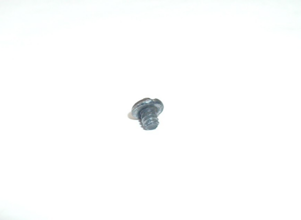 Cal West Model 25, .25 Auto - Grip Screw - Image 4