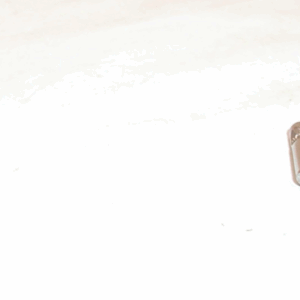 Stevens 300 22LR -  Pins