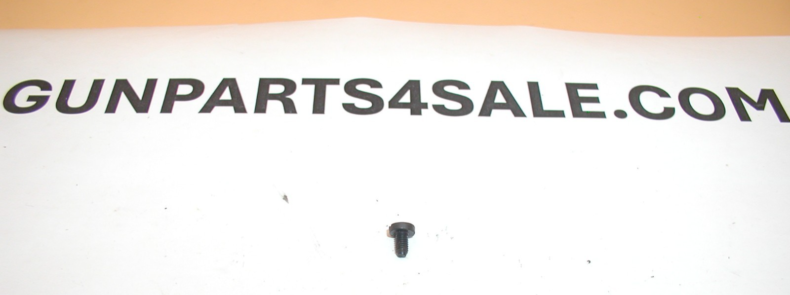 Taurus PT-25 .25 Auto -  Grip Screw - Image 3