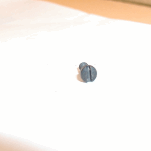 Heritage Rough Rider - Trigger Guard Screw, Bottom