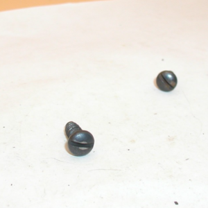 daisy 1894 stock screw, large