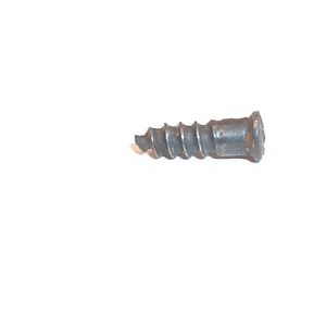 winchester 69 22 22lr rifle trigger guard/ magazine plate screw