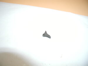 harrington & richardson young america safety hammer .22 rimfire sear