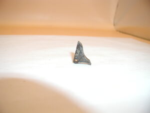 harrington & richardson victor .32s&w, ctge sear