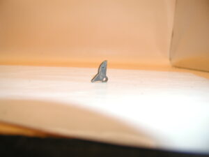 harrington & richardson top break, large frame .38s&w sear