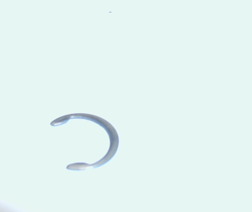 mossberg 380 rifle magazine tube retaining ring, rear mossberg 380 rifle magazine tube retaining ring, rear