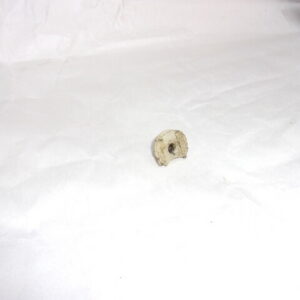 winchester super x model 1 12g bolt slide buffer, white polymer used